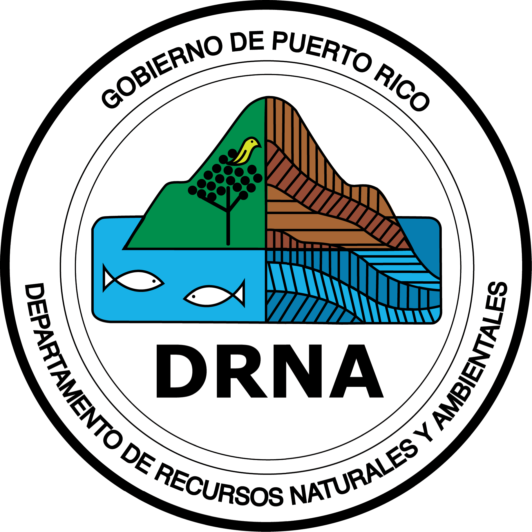 Departamento de Recursos Naturales y Ambientales